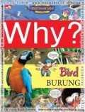 Why ? Bird ; Burung