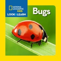 I love bugs : mengenal serangga