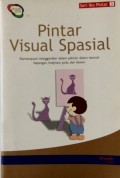 Pintar Visual Spasial