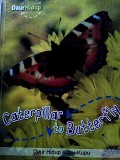 Caterpillar to Butterfly : Daur Hidup Kupu-Kupu