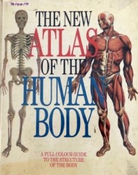 The New Atlas Of The Human Body