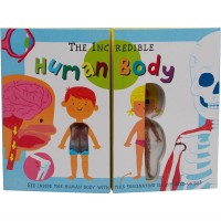 The Incredible Human Body